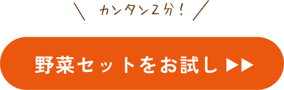 野菜セットのお試しはこちらから！