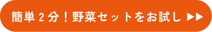 野菜セットのお試しはこちらから！