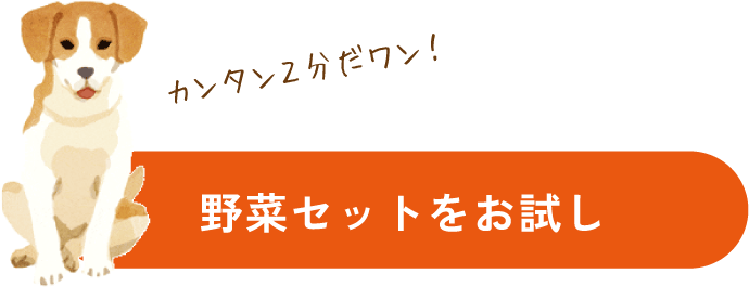 野菜セットのお試しはこちらから！